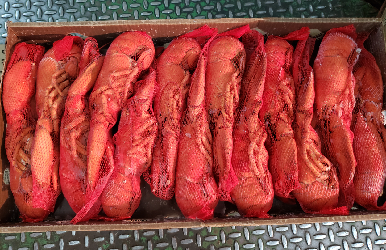Frozen Canadian Whole Cooked Lobster 350-400g 1 pc