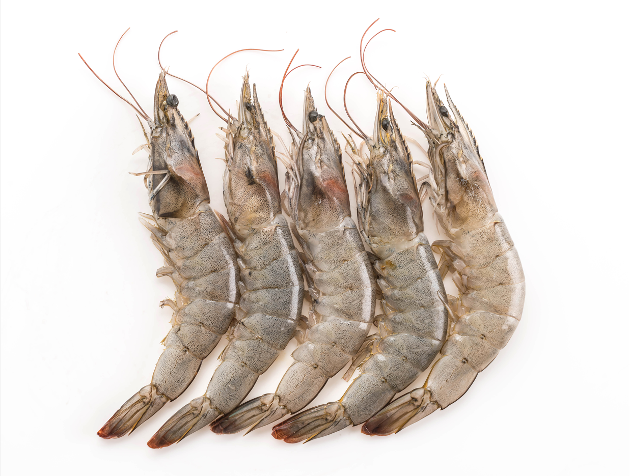 急凍原隻越南虎蝦 500克 8隻