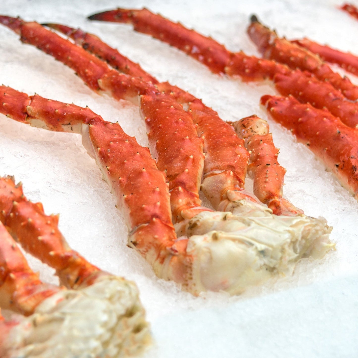 Frozen Cooked Russian King Crab Leg size 4L
