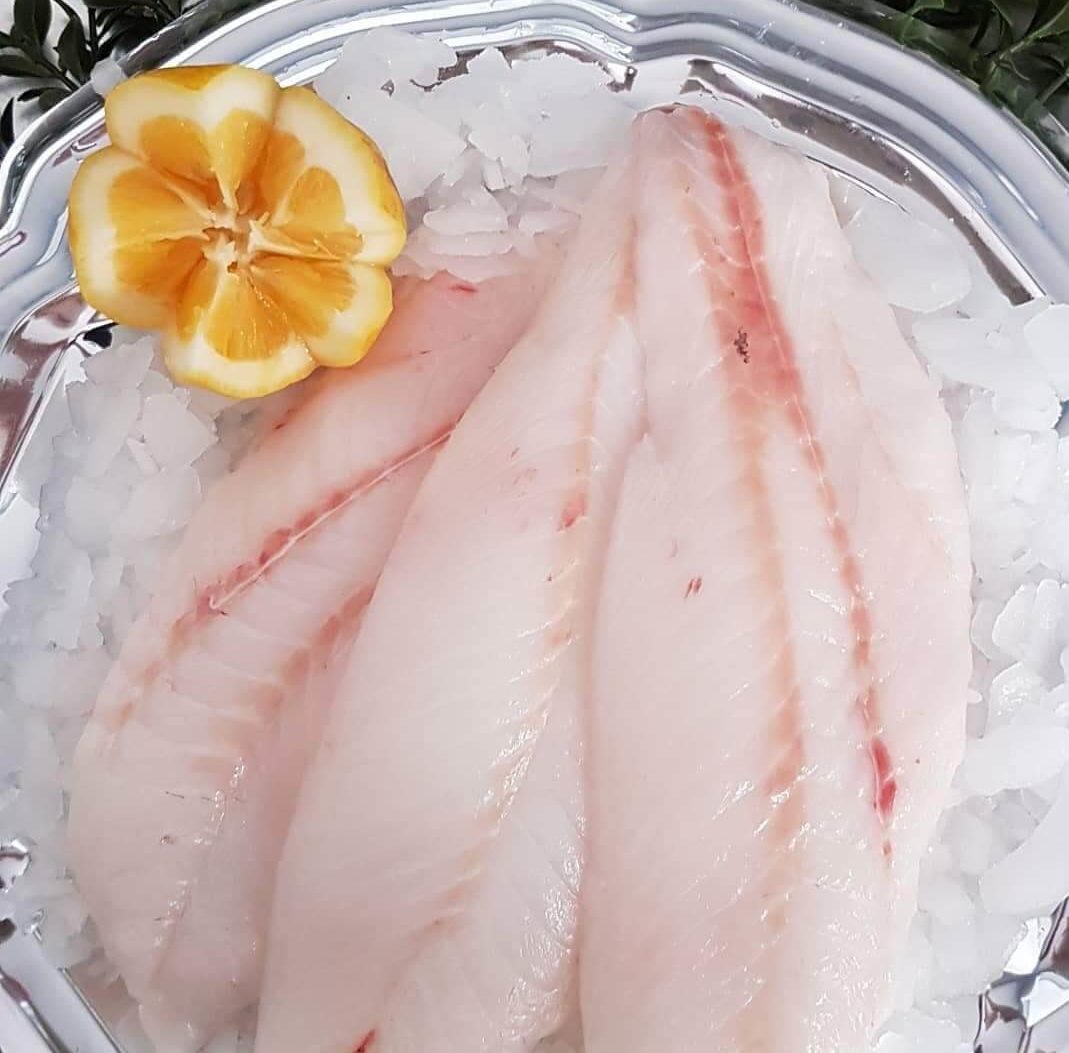 Frozen Wild Caught New Zealand Orange Roughy Fillet 240-400g