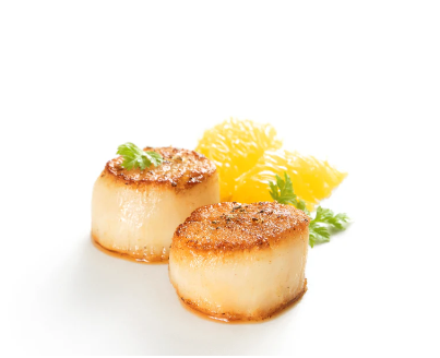 Canadian wild caught scallop meat 10/20