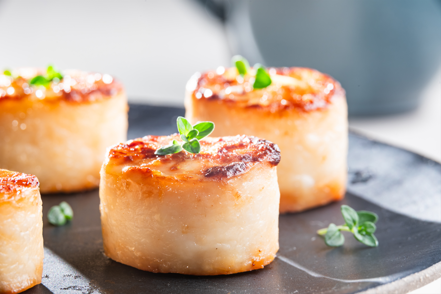 [NEW] Frozen Patagonian Sea Scallop Medallions 10/20 454g