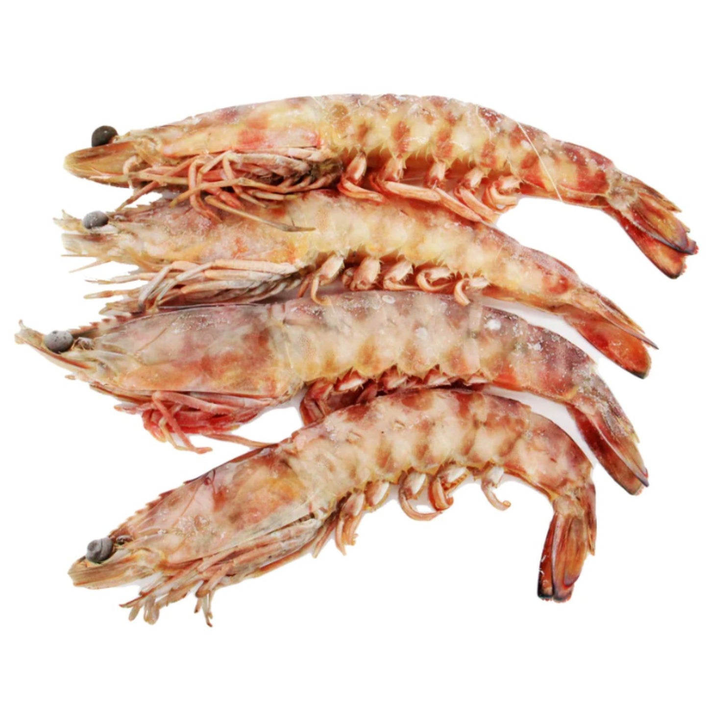 Frozen Australian wild caught Tiger Prawn 6-8 pcs