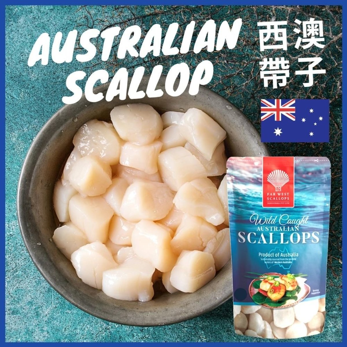 West Australian Scallop Meat 20/30