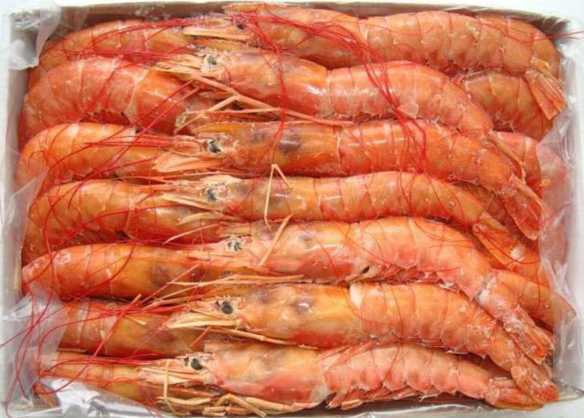 [NEW] Frozen Argentina red shrimp sashimi grade size L1