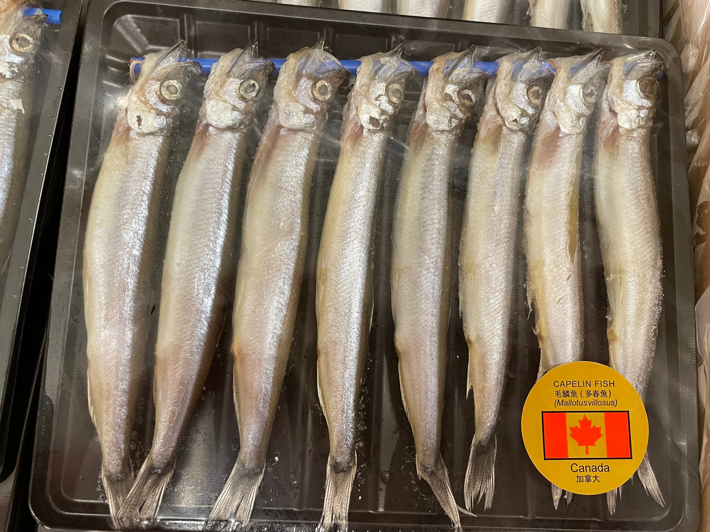 Canadian Capelin 120-130g