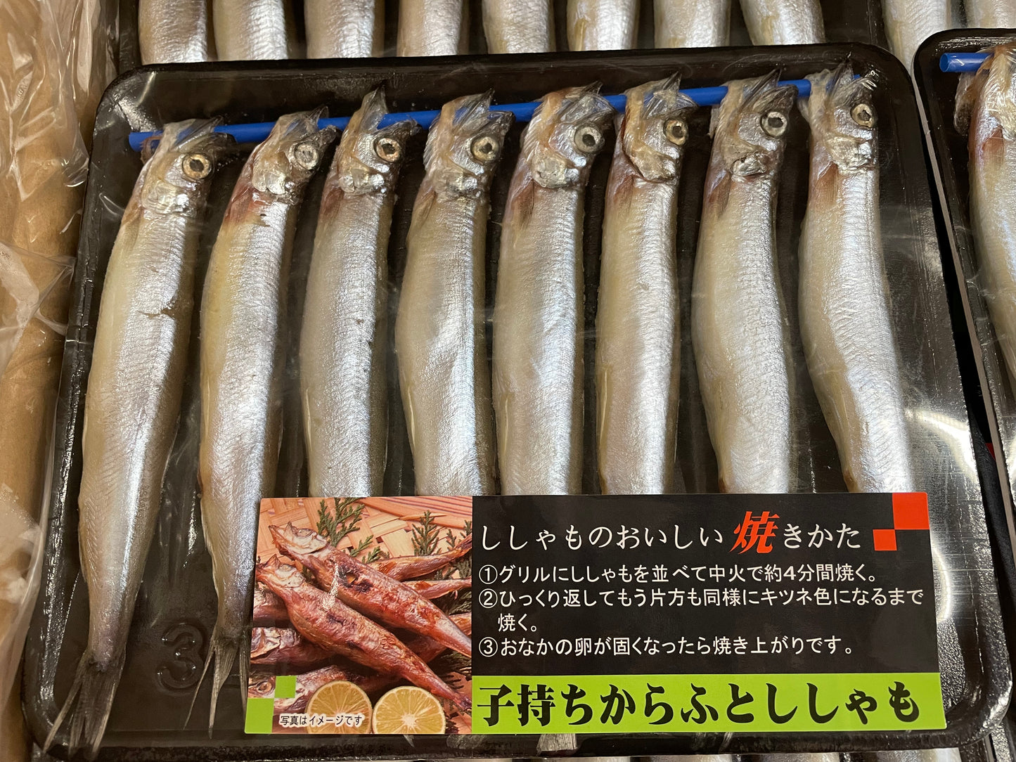 Canadian Capelin 150-170g