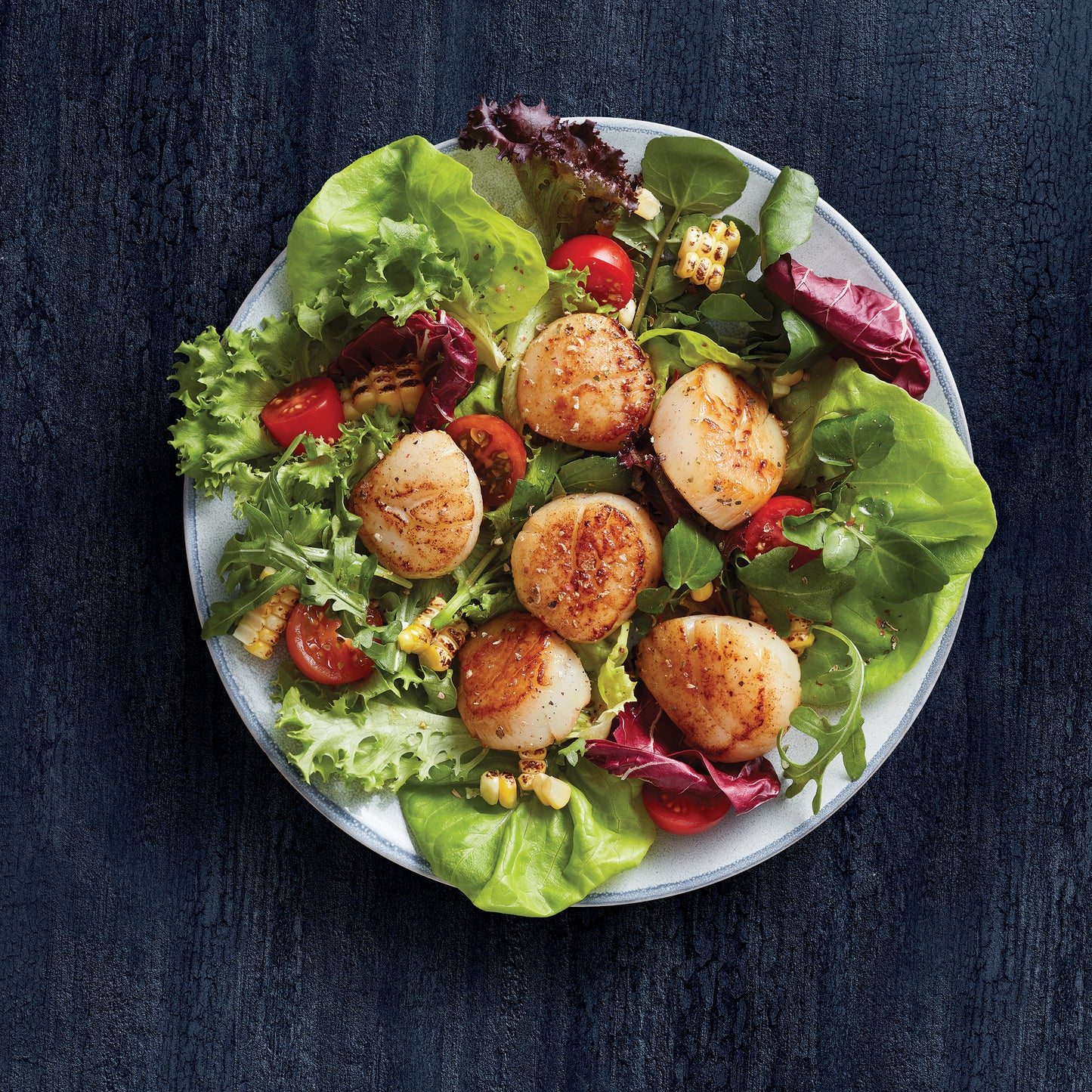 [NEW] Frozen wild caught Atlantic Sea Scallops 10/20 340g