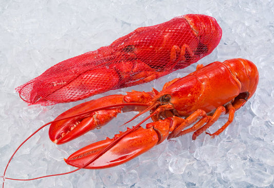 Frozen Canadian Whole Cooked Lobster 350-400g 1 pc