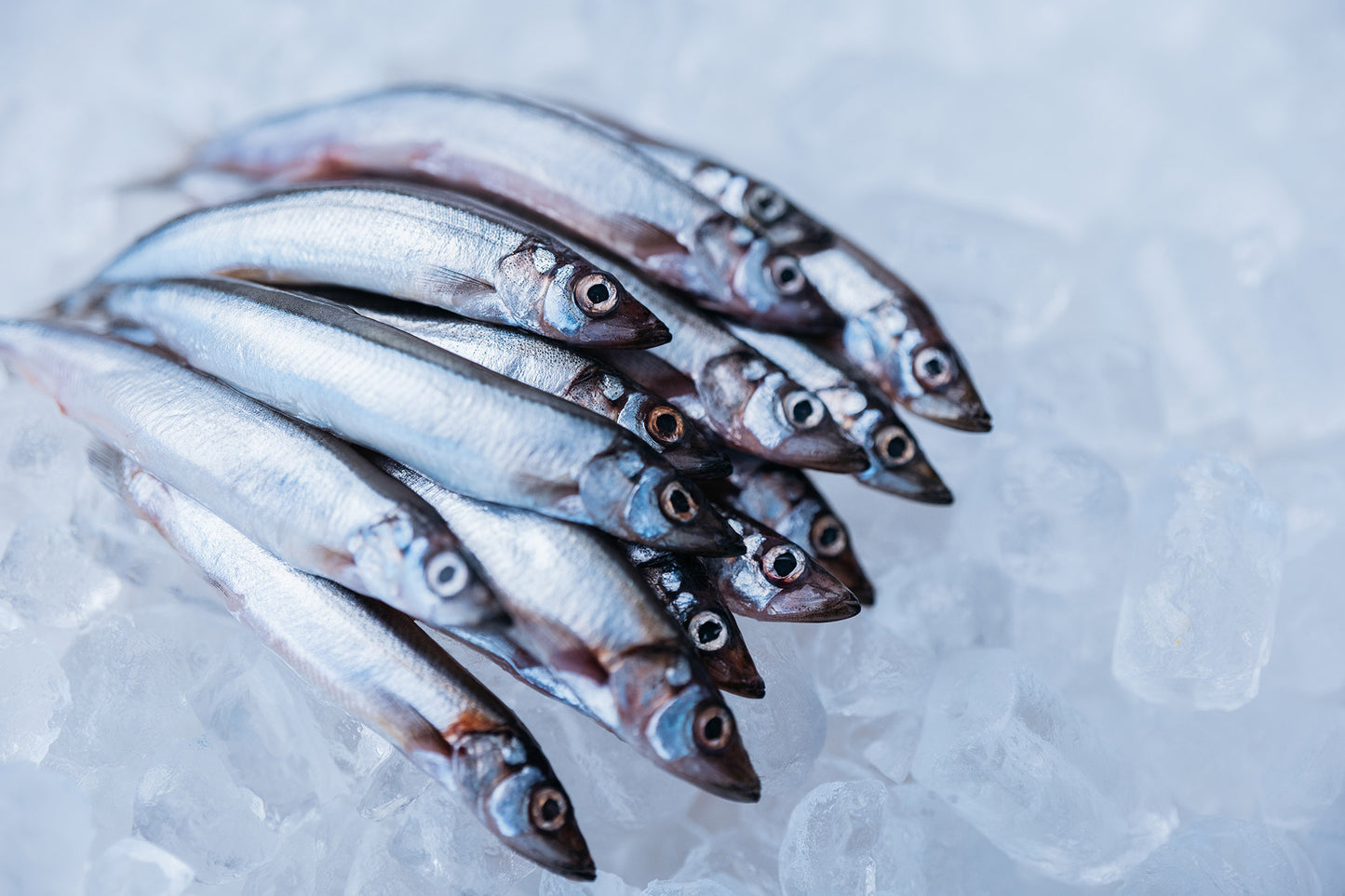 Canadian Capelin 120-130g