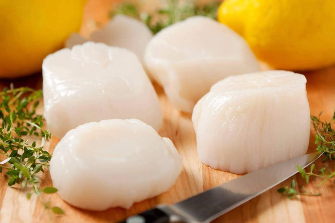 Canadian Wild caught scallop meat 20/30