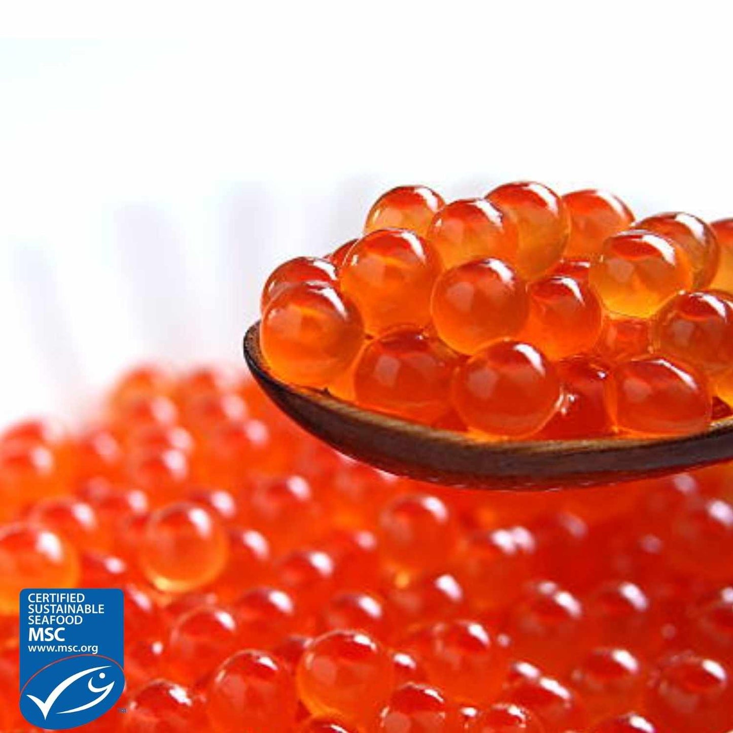 Alaskan Soy Sauce Wild Salmon Roe
